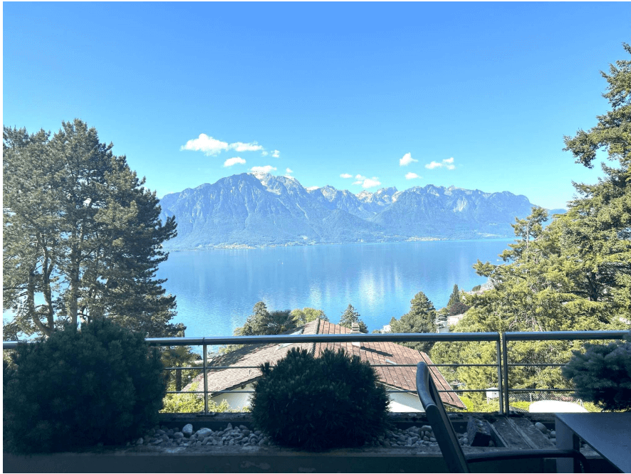 Vue panoramique