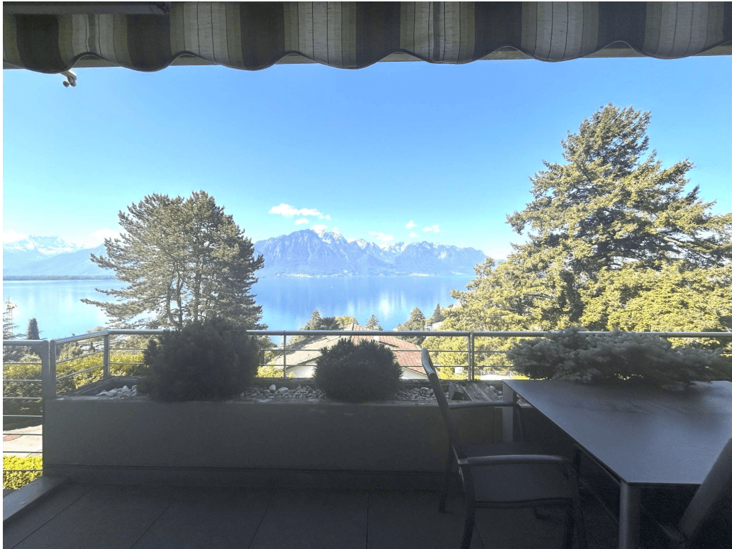vue -balcon